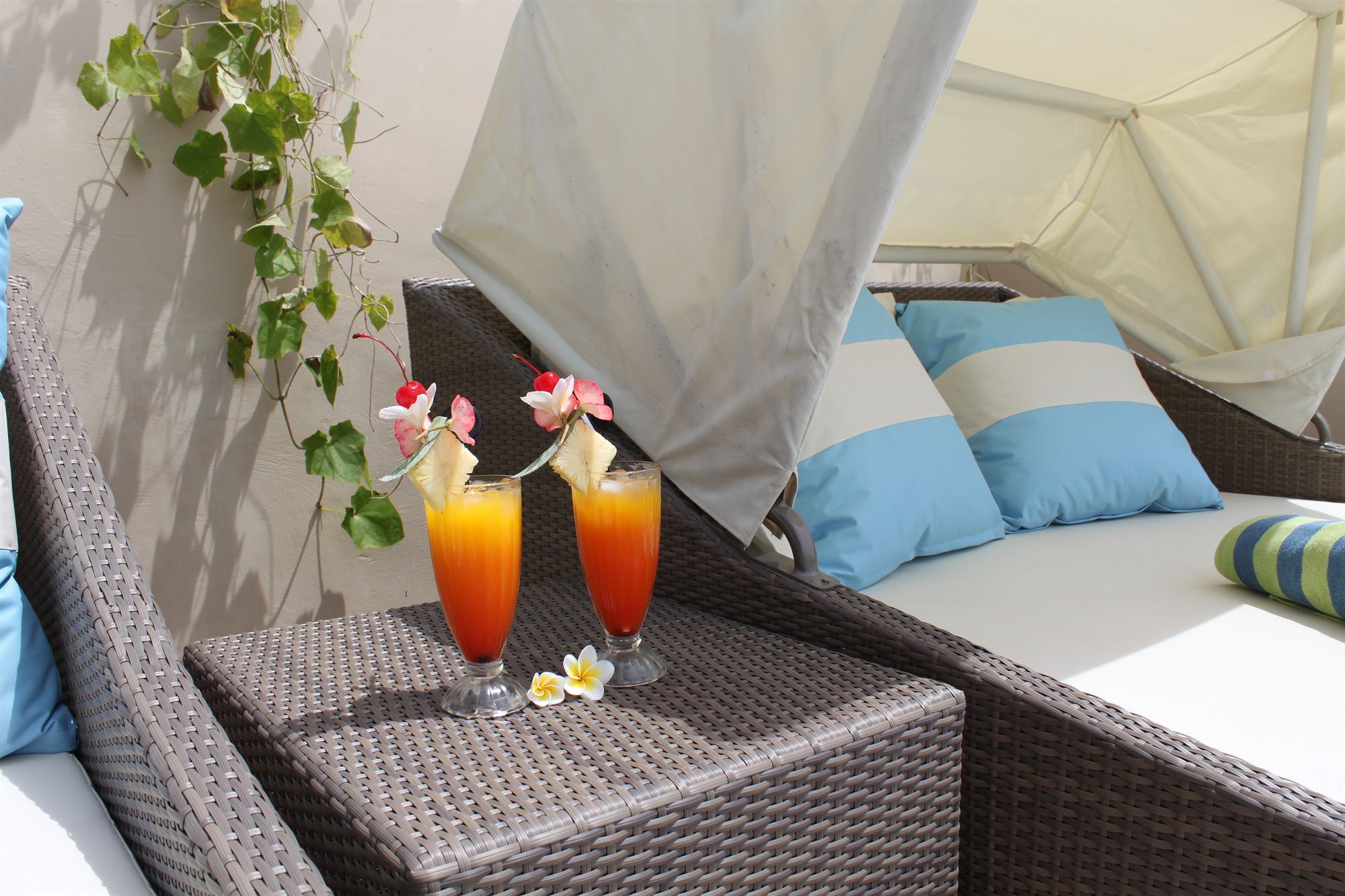 Coconuts Holiday park