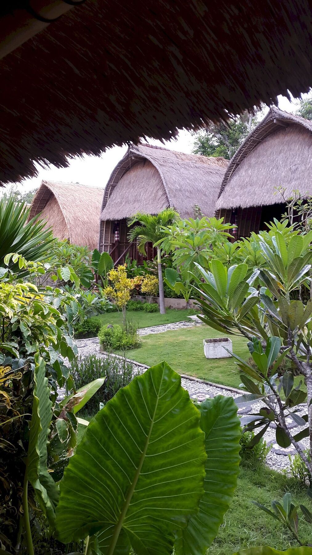Sunset Coin Holiday park 3*