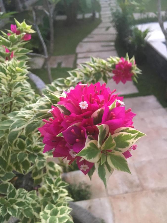 Le Biu Garden View